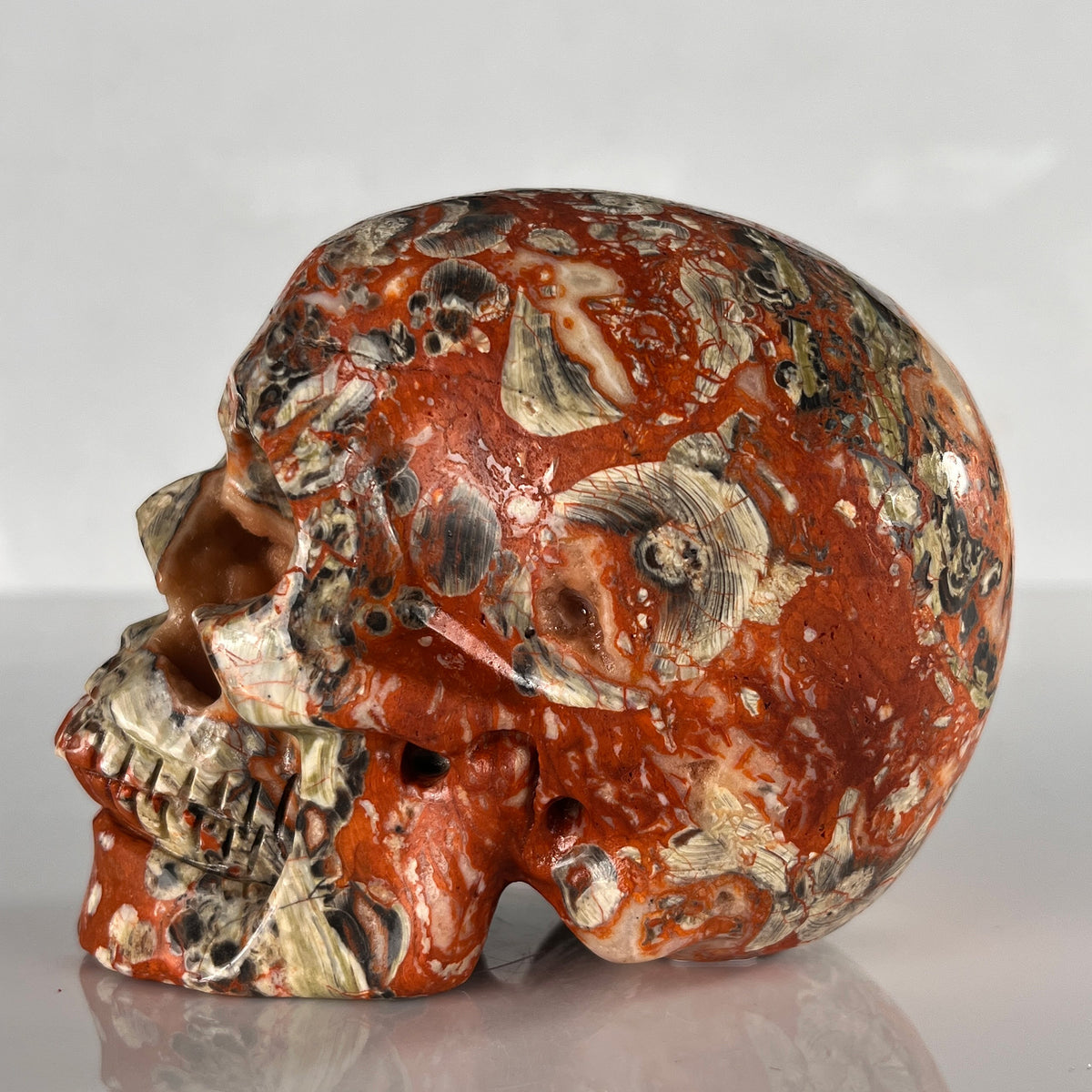 4.5" Money Agate Crystal Skull - Pattern A