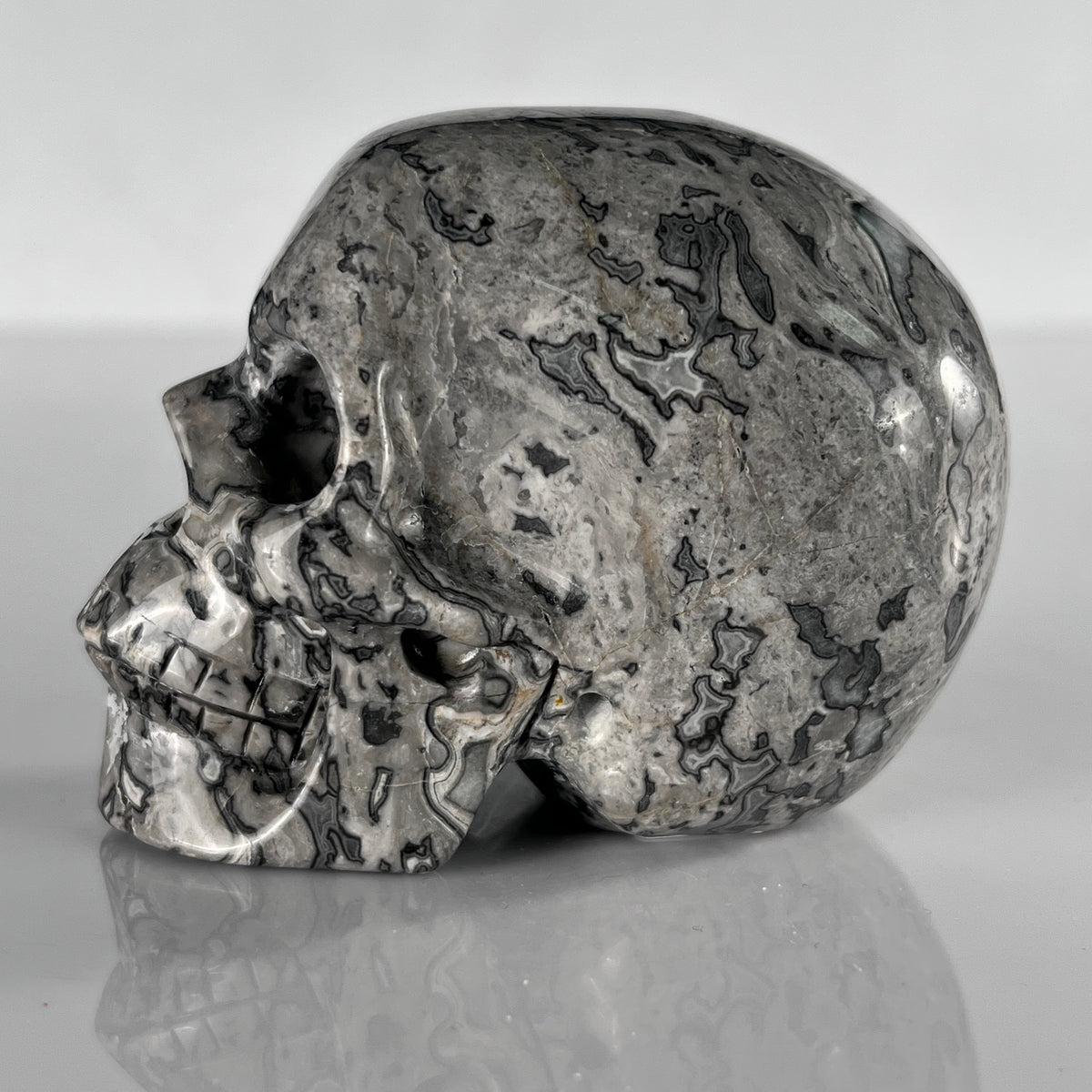 3" Grey Picture Jasper Crystal Skull- Pattern C