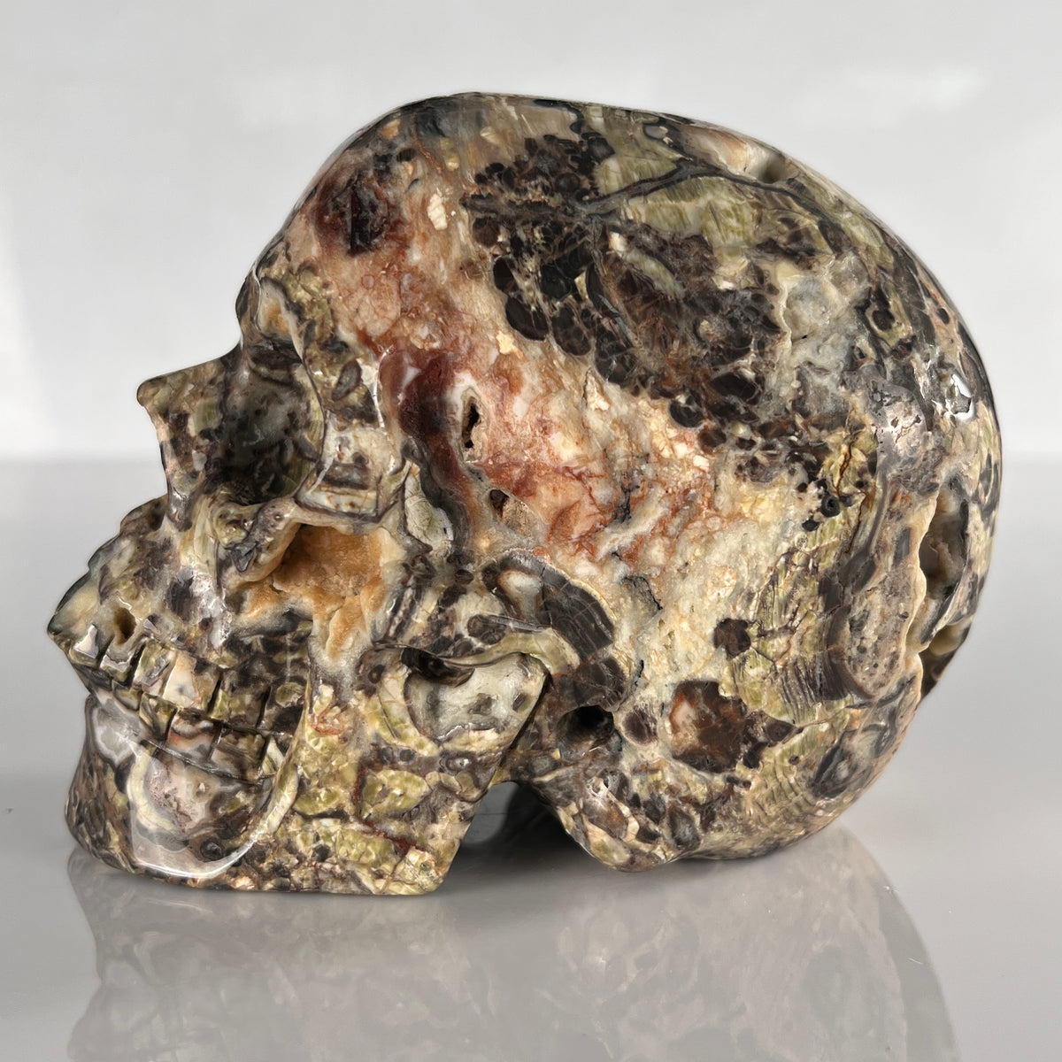 4.5" Money Agate Crystal Skull - Pattern B
