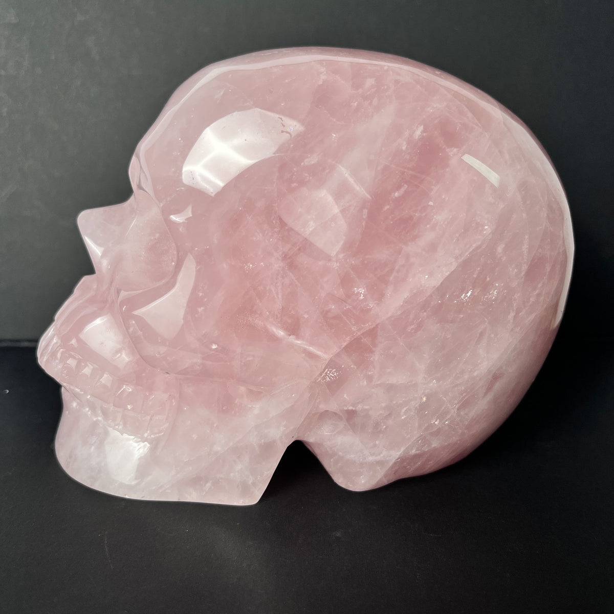 6" Rose Quartz Crystal Skull