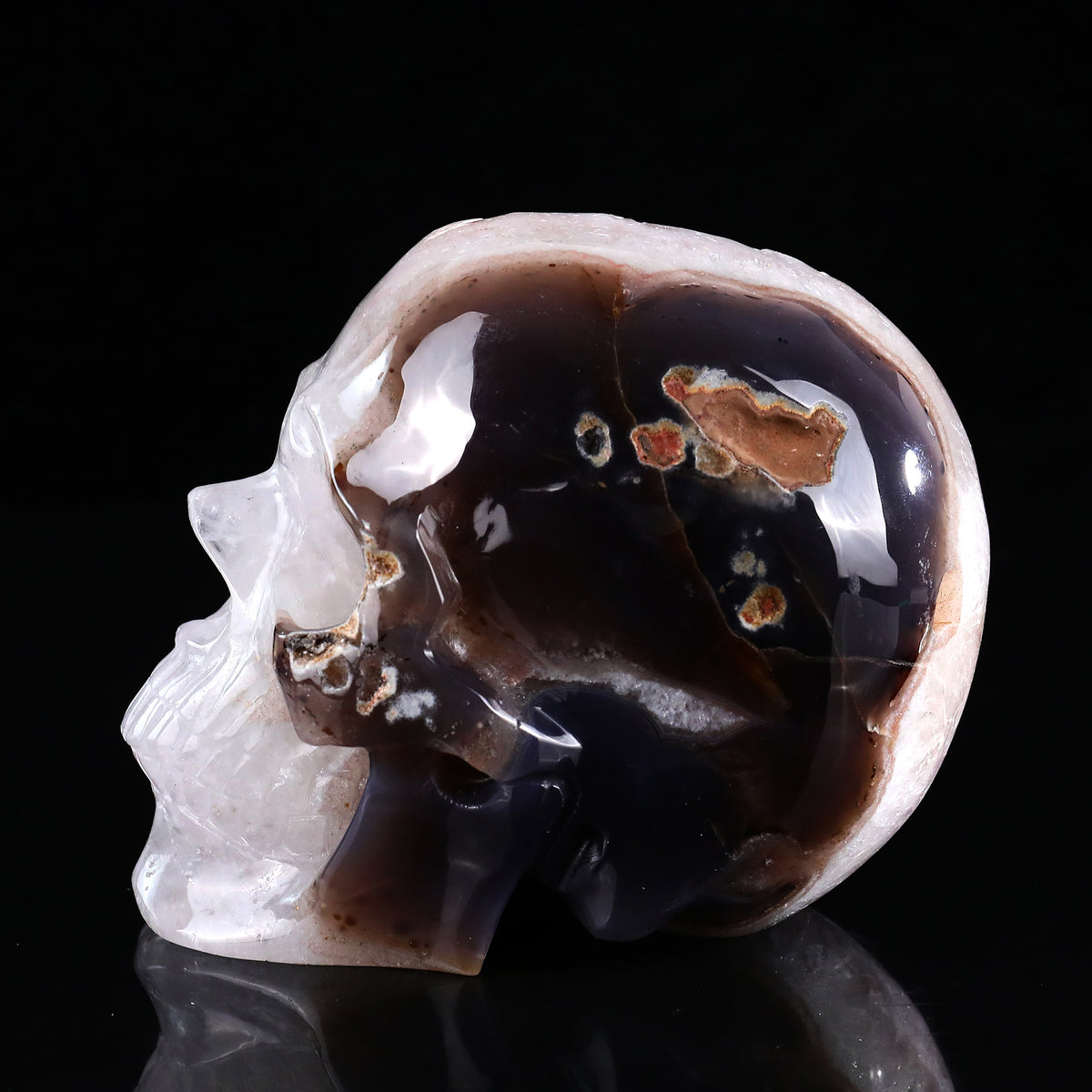 ‘Organic Mindscape’ - Agate Skull with Raw Geode Pocket · Specimen No. 34