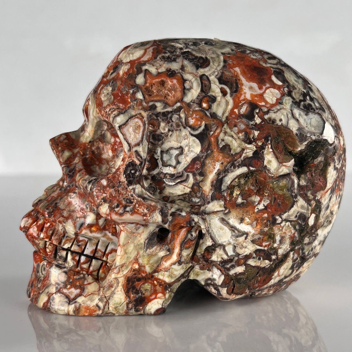 5" Money Agate Crystal Skull