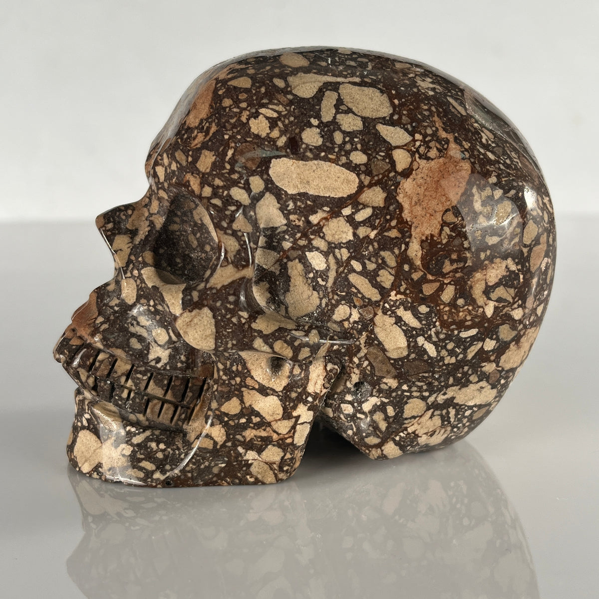 5" Brecciated Red Jasper Crystal Skull