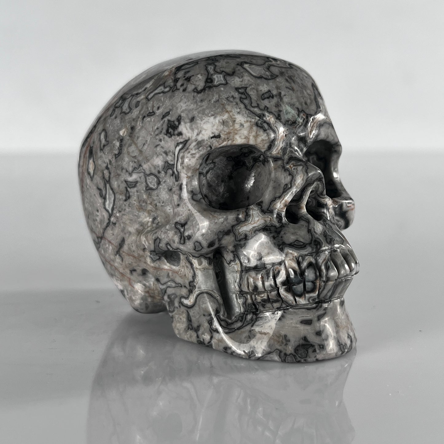3" Grey Picture Jasper Crystal Skull