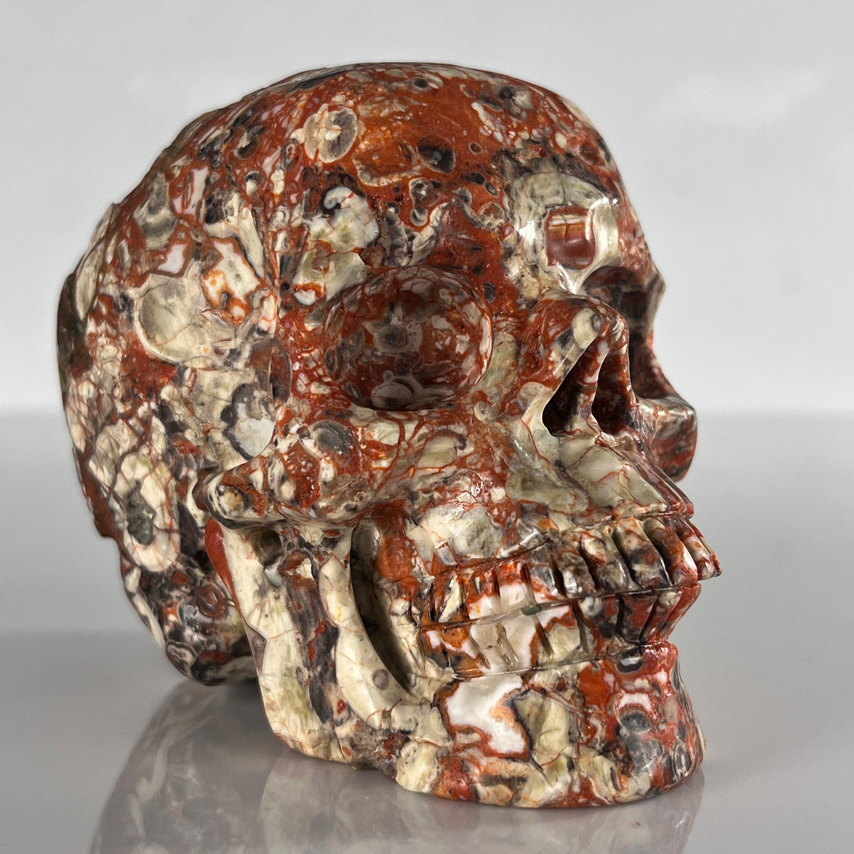 5" Money Agate Crystal Skull