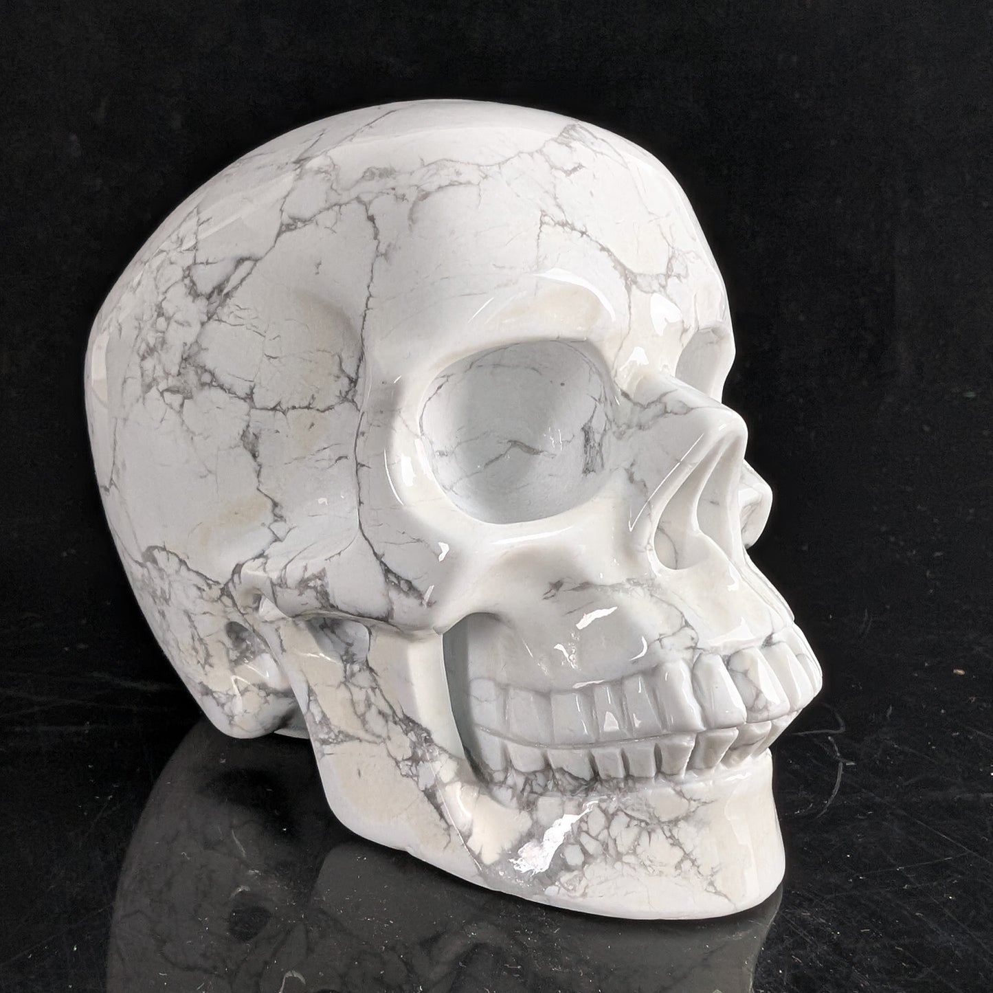 Crâne en cristal de turquoise howlite blanche de 11,4 cm (4,5 pouces) – Pierre naturelle sculptée à la main