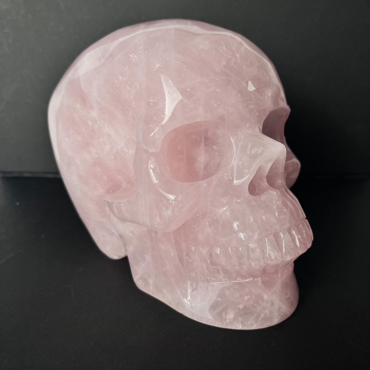 6" Rose Quartz Crystal Skull