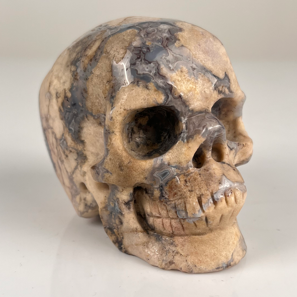 3 Inch Blue Flower Agate Crystal Skull – Hand Carved Natural Stone