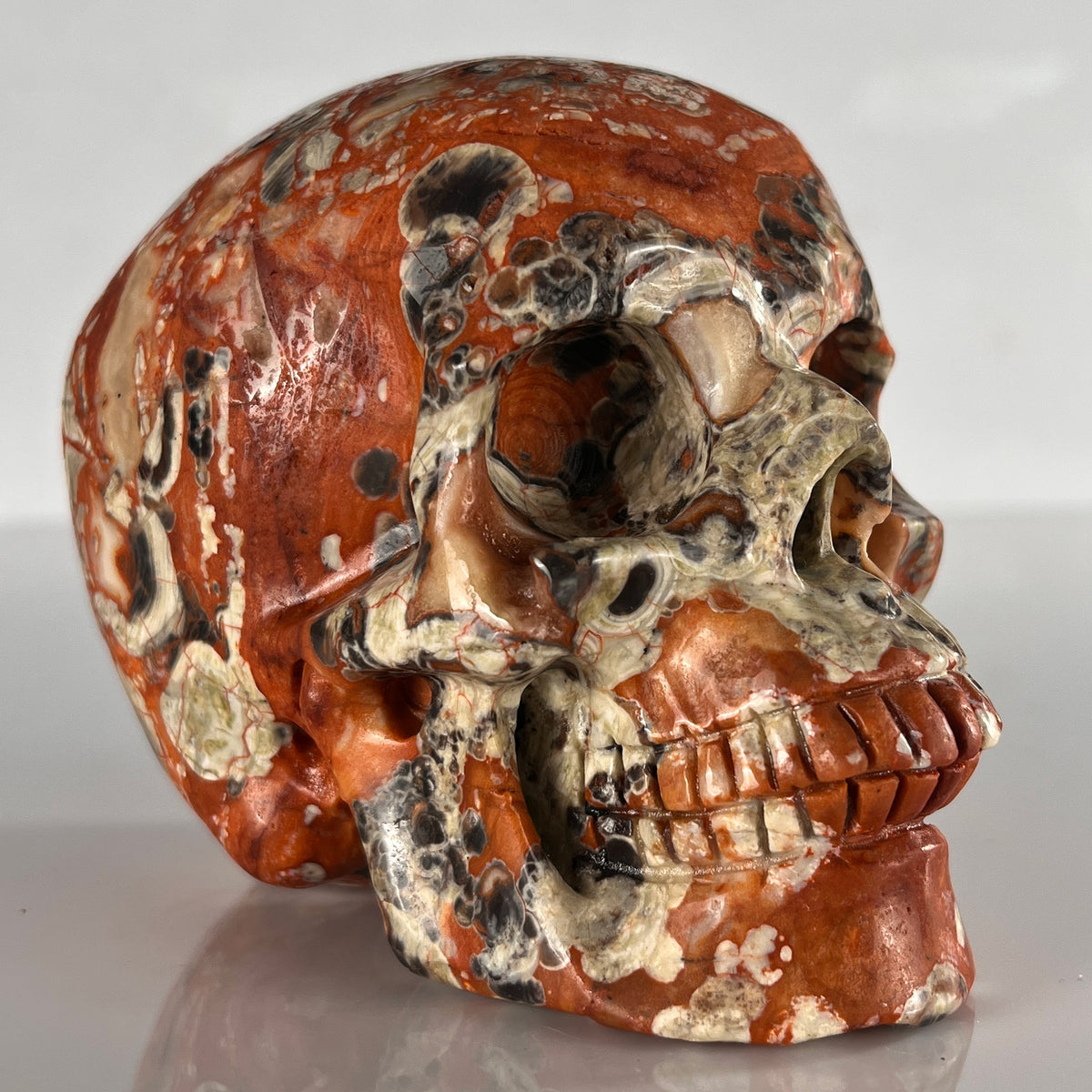 4.5" Money Agate Crystal Skull - Pattern A