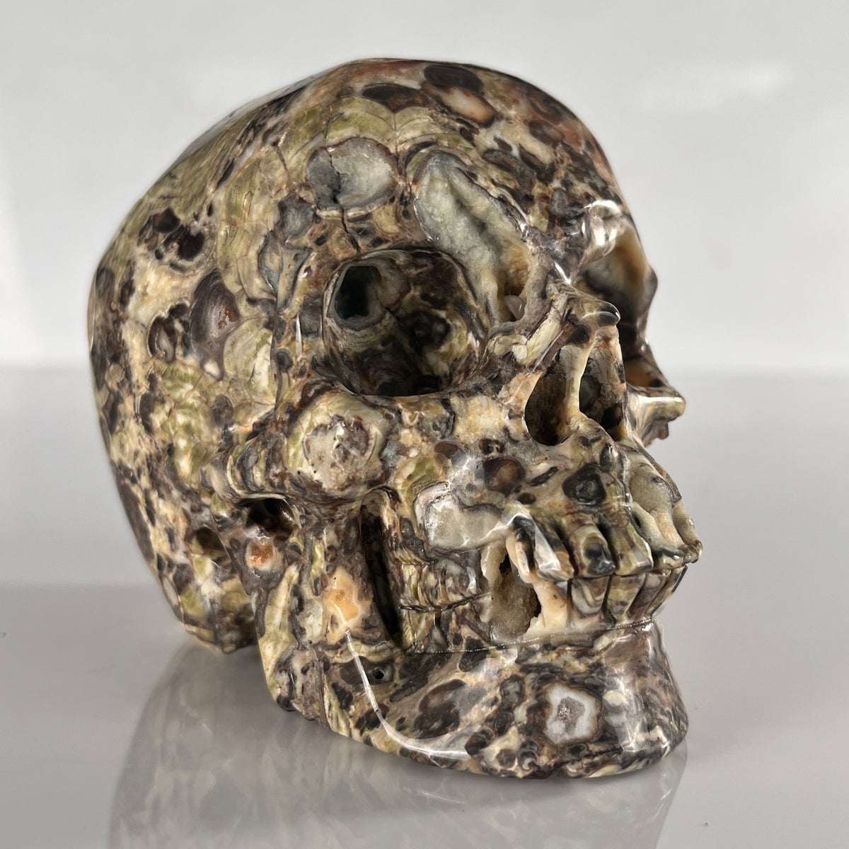 4.5" Money Agate Crystal Skull - Pattern B