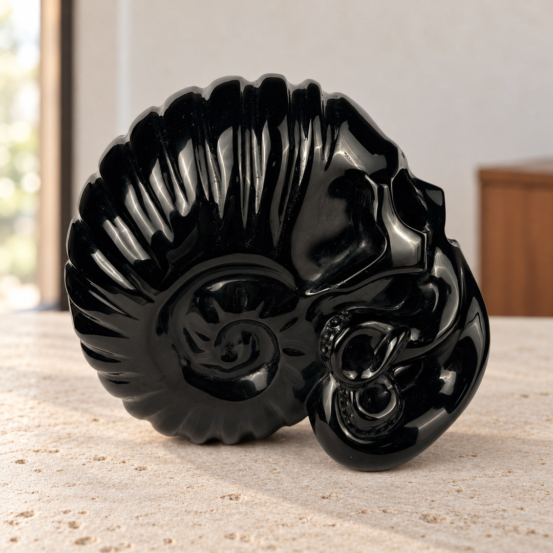 Black Obsidian Ammonite Octopus Skull