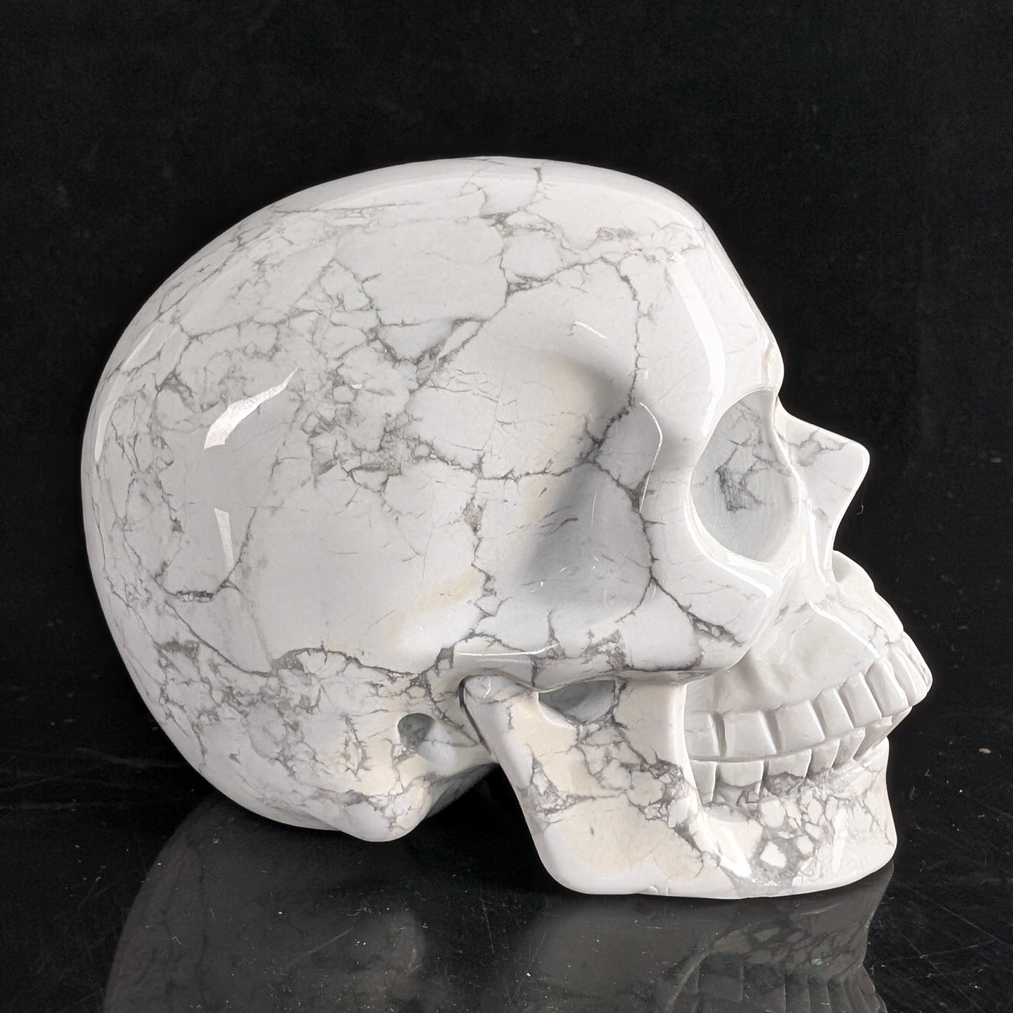 Crâne en cristal de turquoise howlite blanche de 11,4 cm (4,5 pouces) – Pierre naturelle sculptée à la main