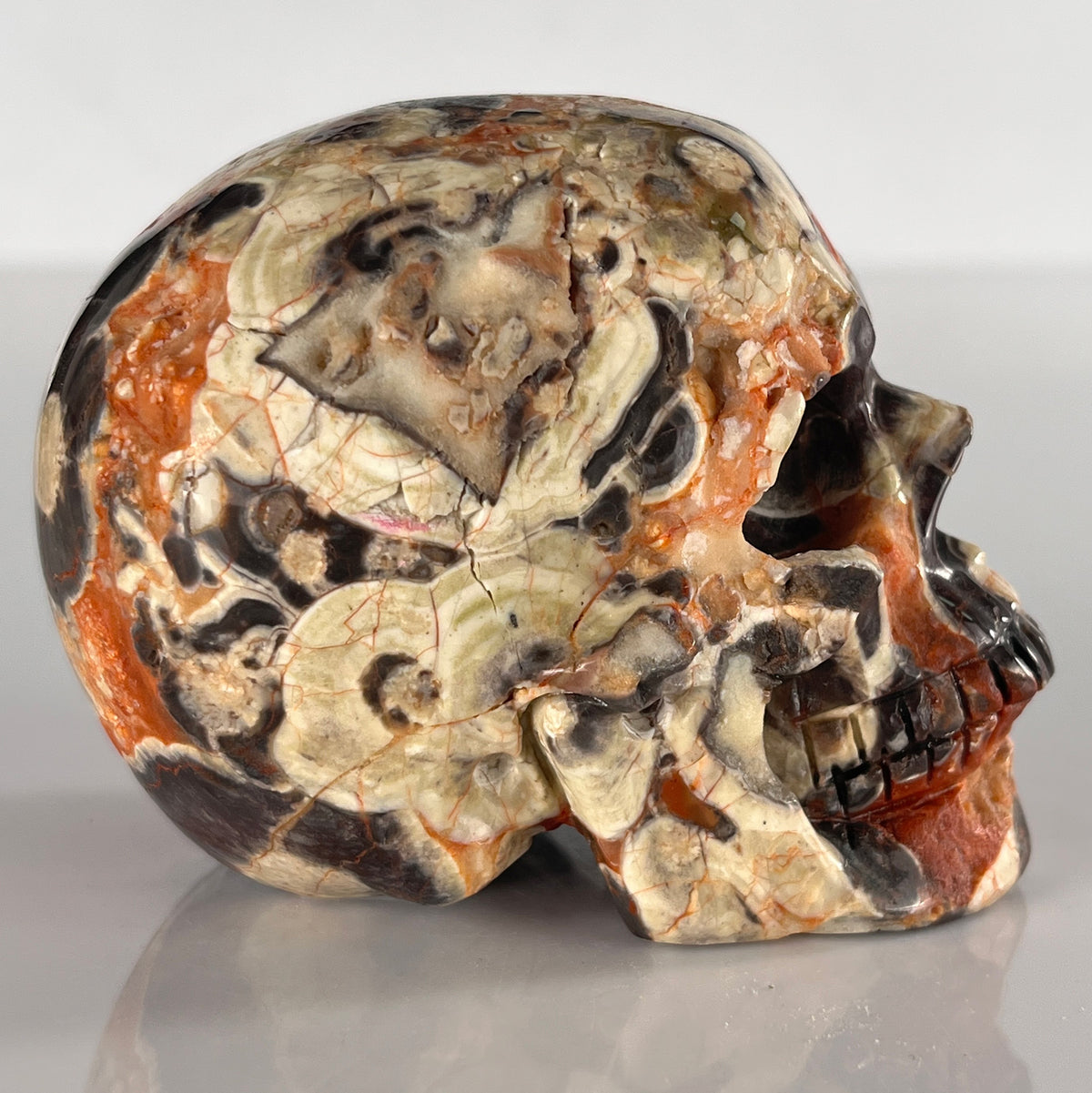 3" Money Agate Crystal Skull - Pattern A