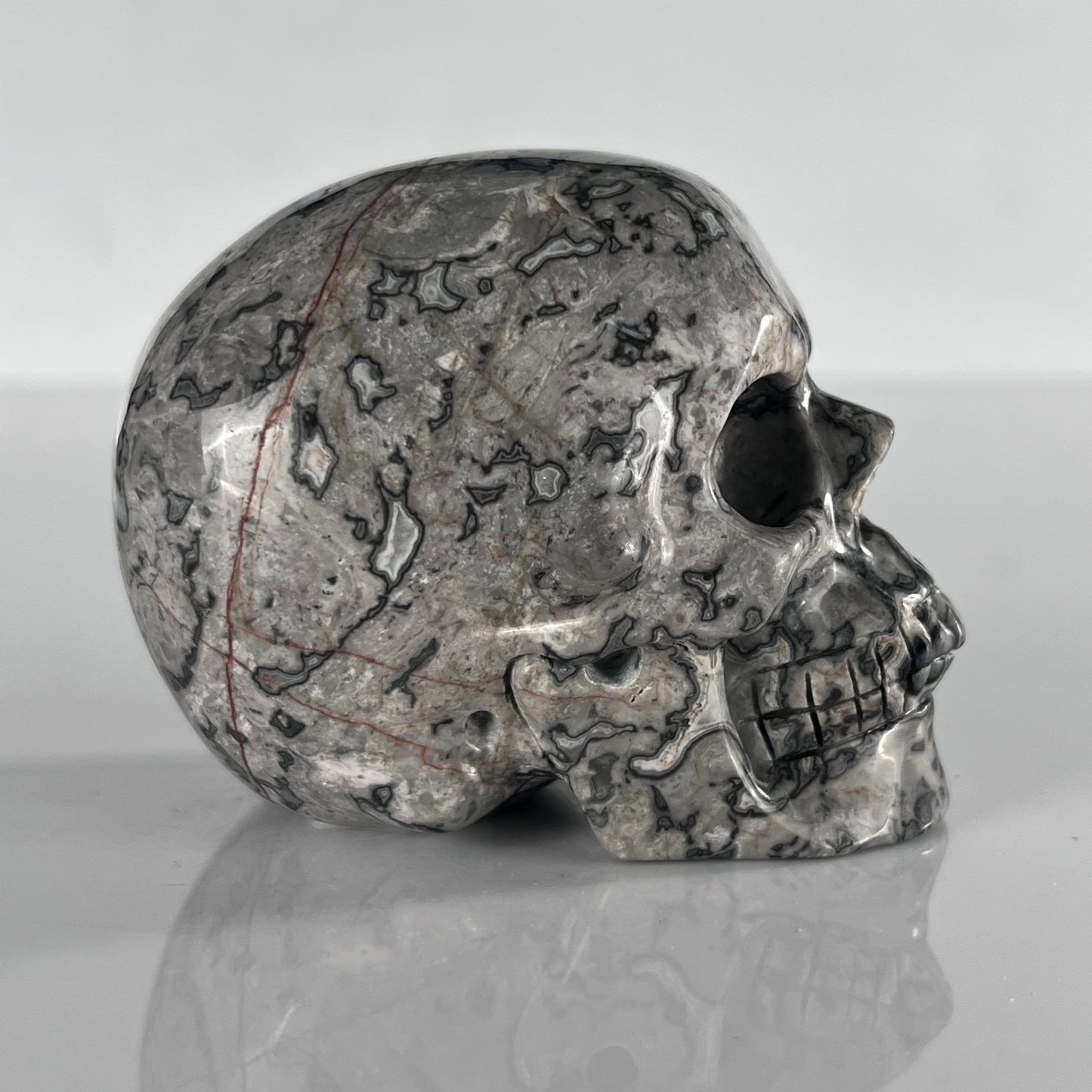 3" Grey Picture Jasper Crystal Skull