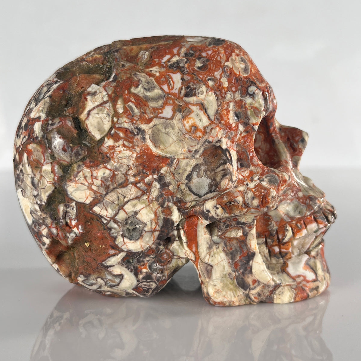 5" Money Agate Crystal Skull