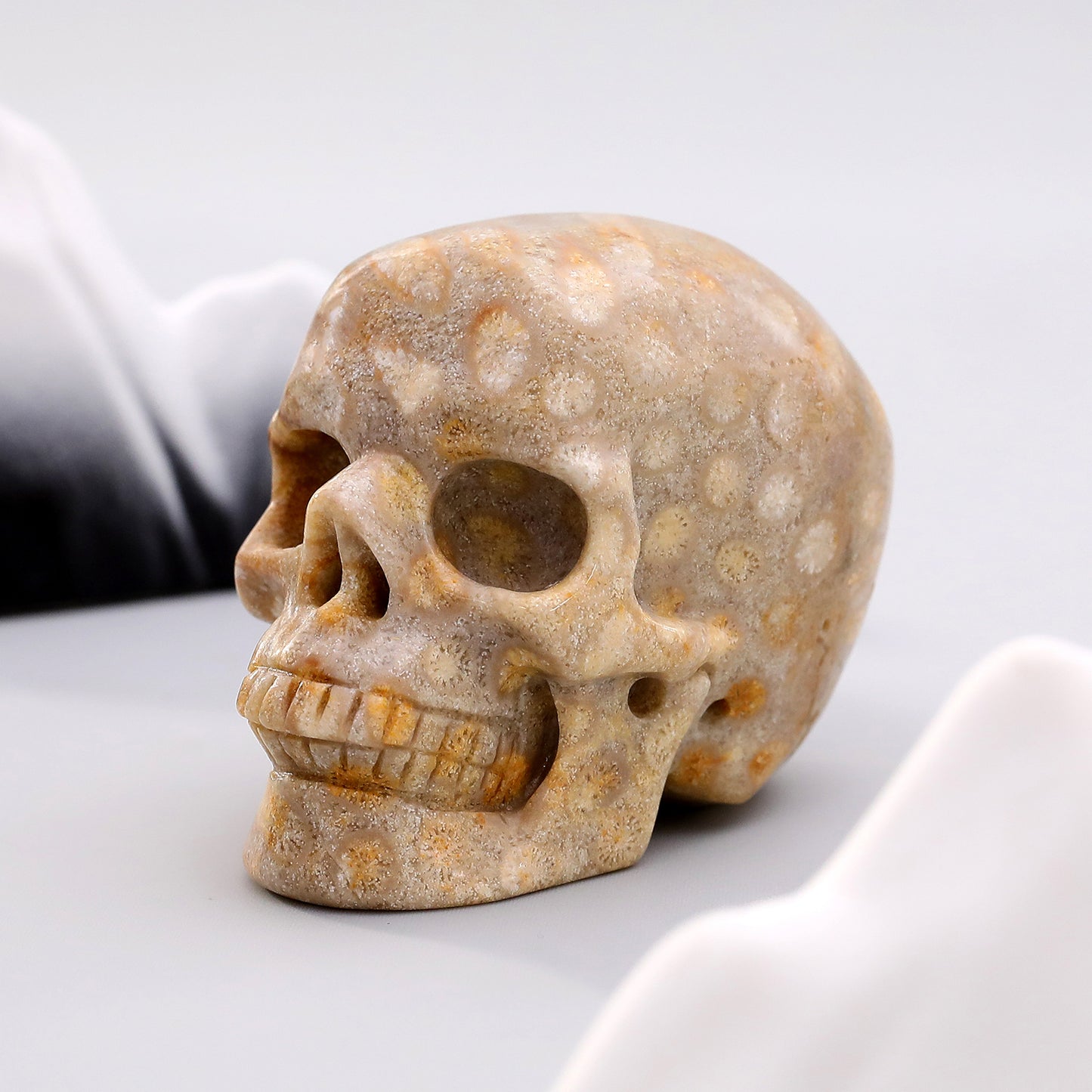 3 Inch Coral Fossil Crystal Skull