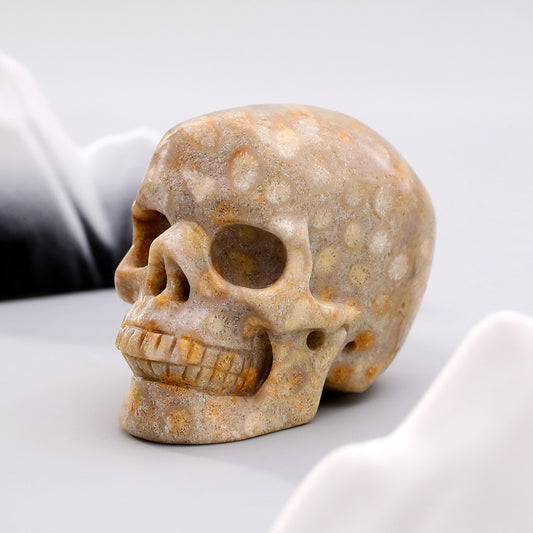 3 Inch Coral Fossil Crystal Skull