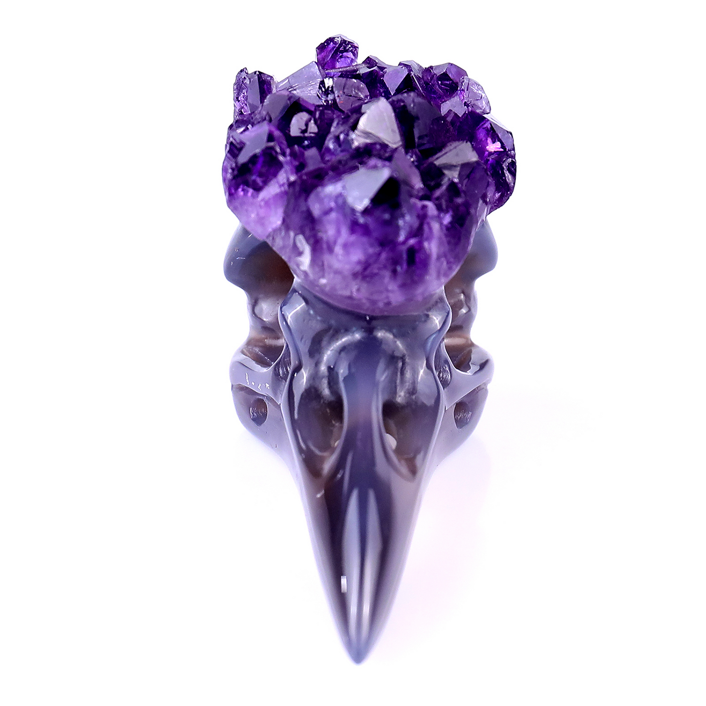 ‘The Purple Crown’ - Amethyst Cluster Raven Skull · Specimen No. 32