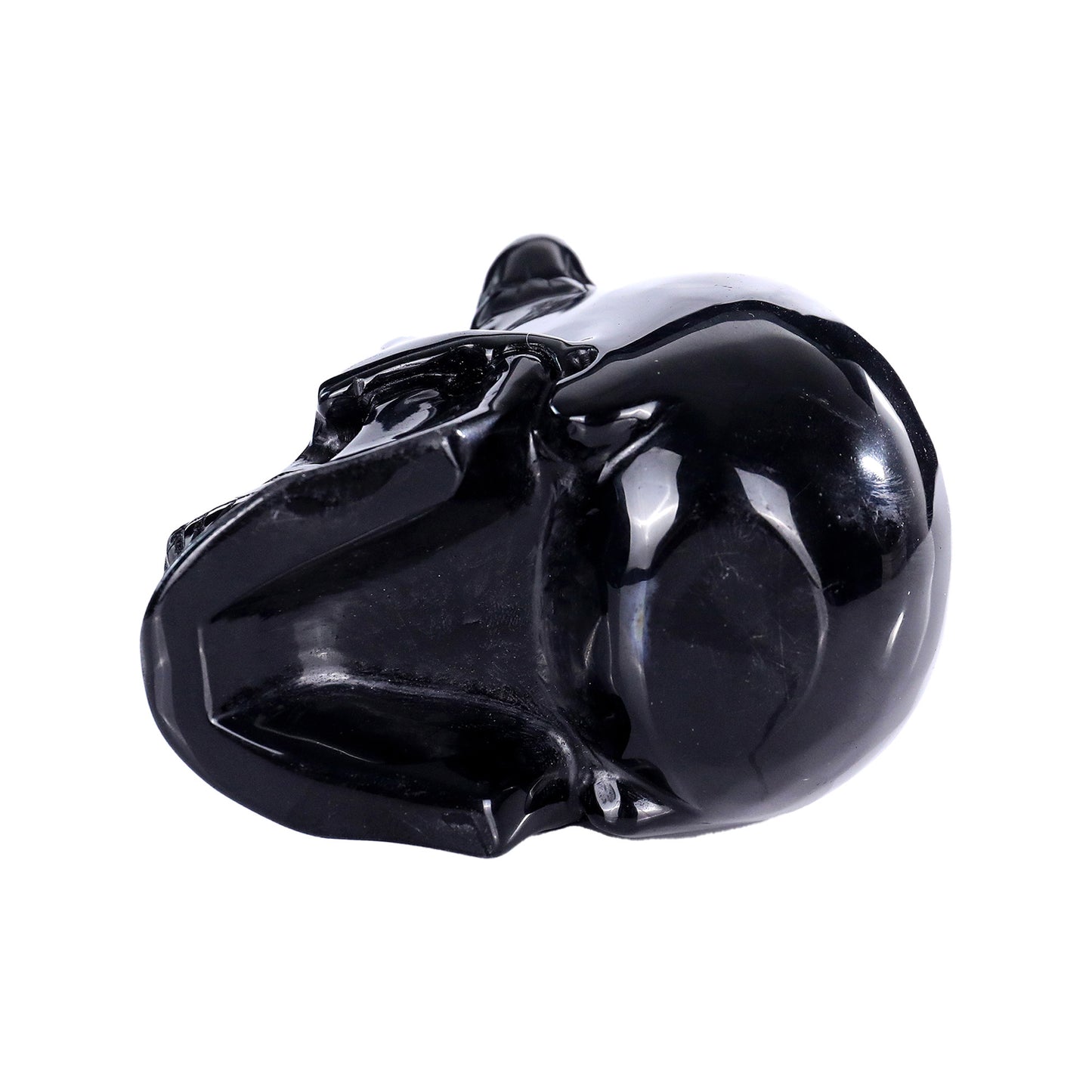 ‘The Black Aegis’ - Black Obsidian Horned Skull · Specimen No. 25