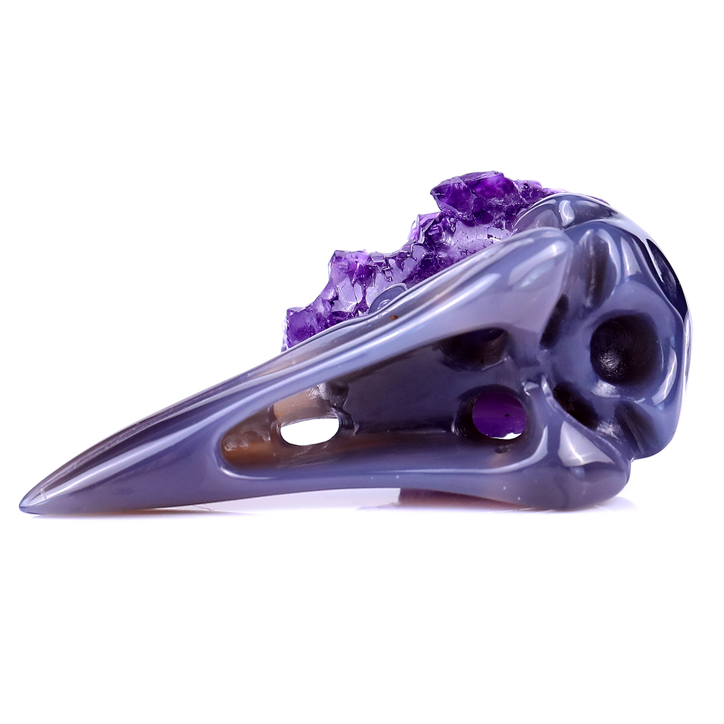 ‘The Purple Crown’ - Amethyst Cluster Raven Skull · Specimen No. 32