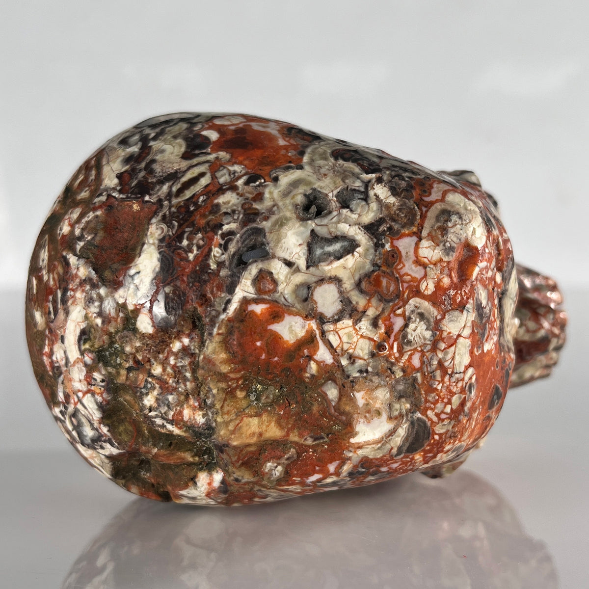 5" Money Agate Crystal Skull