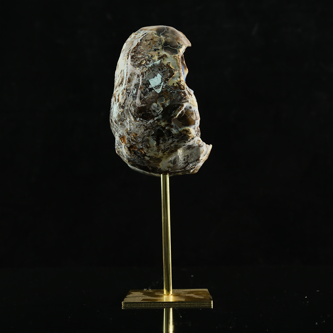 Blue Chalcedony Cave Carving Skull in Raw Crust - Hand Carved Natural Gemstone