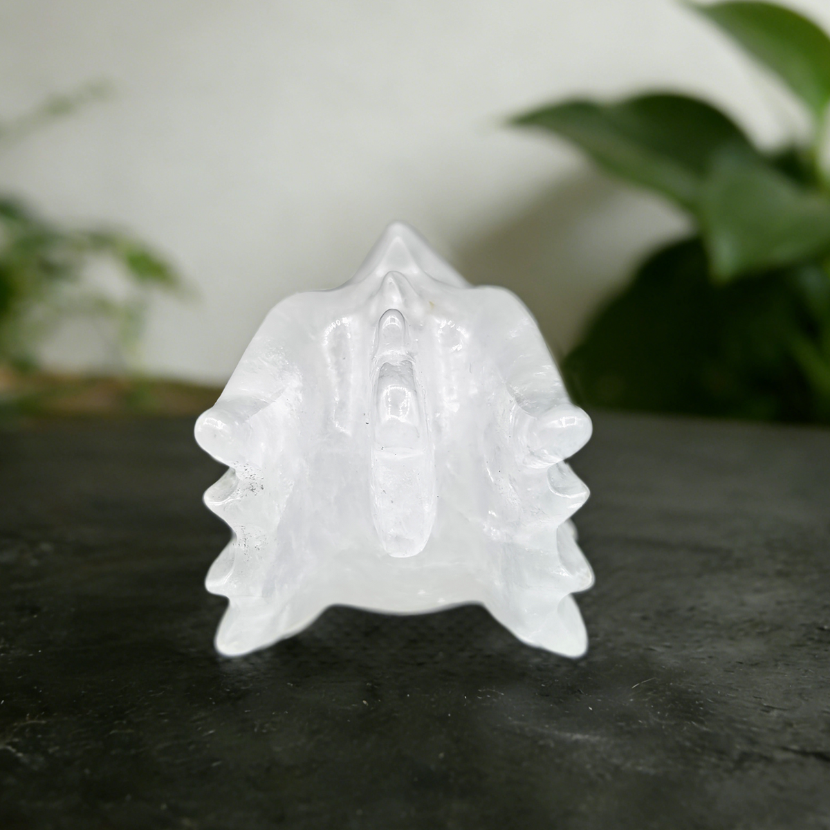 Additional view of a 4.2-inch Angolan Quartz dragon skull carving