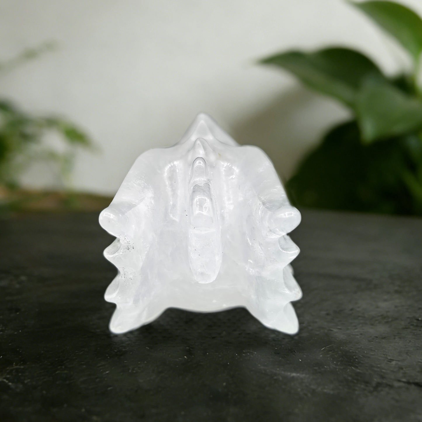 2 inch Angolan Quartz Chinese Dragon Skull - Natrual Angolan Quartz Carving