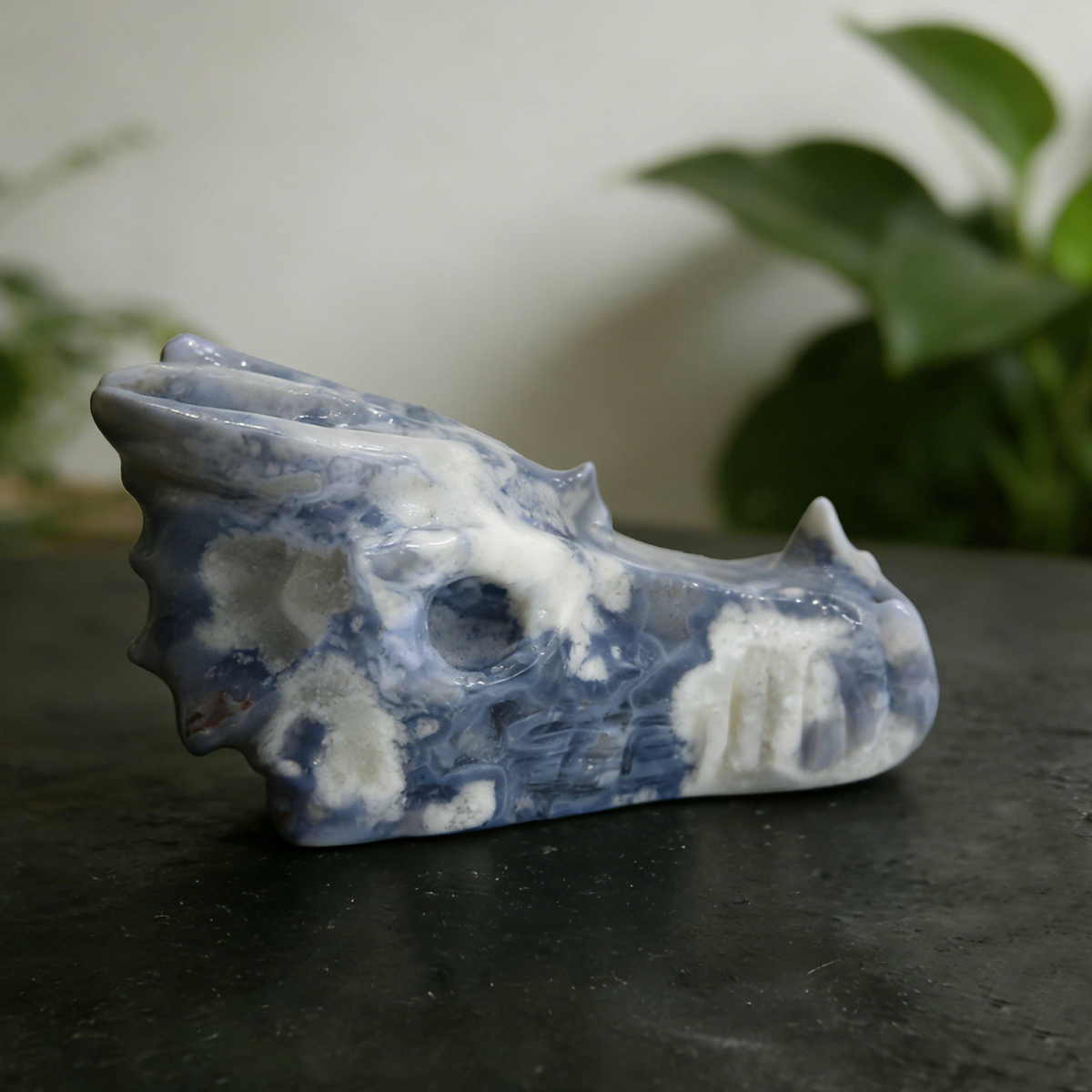 Additional view of a 2-inch Blue Flower Agate dragon skull carving