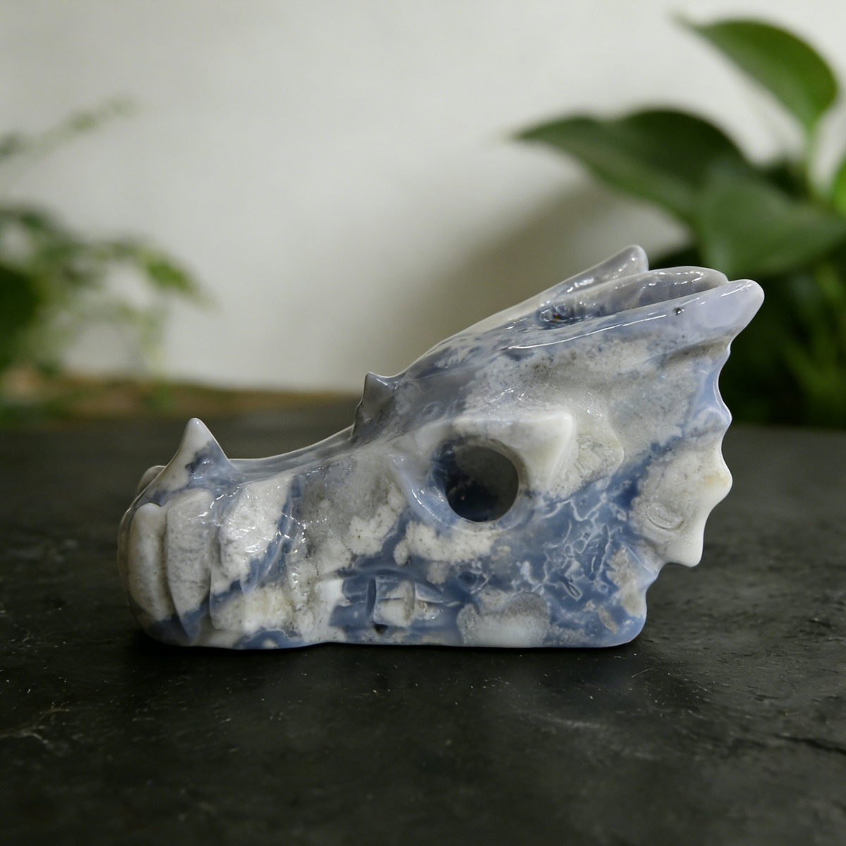 Additional view of a 2.5-inch Blue Flower Agate dragon skull carving