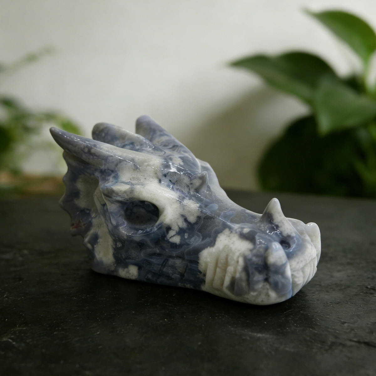 Additional view of a 2.5-inch Blue Flower Agate dragon skull carving
