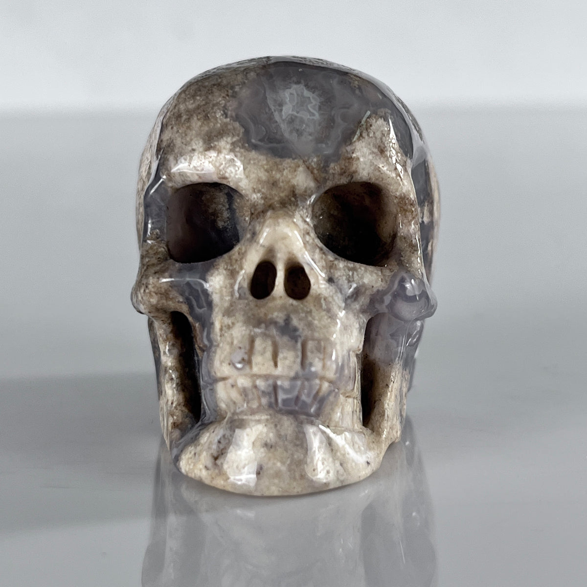 Front view of a 2-inch Blue Flower Agate human skull carving