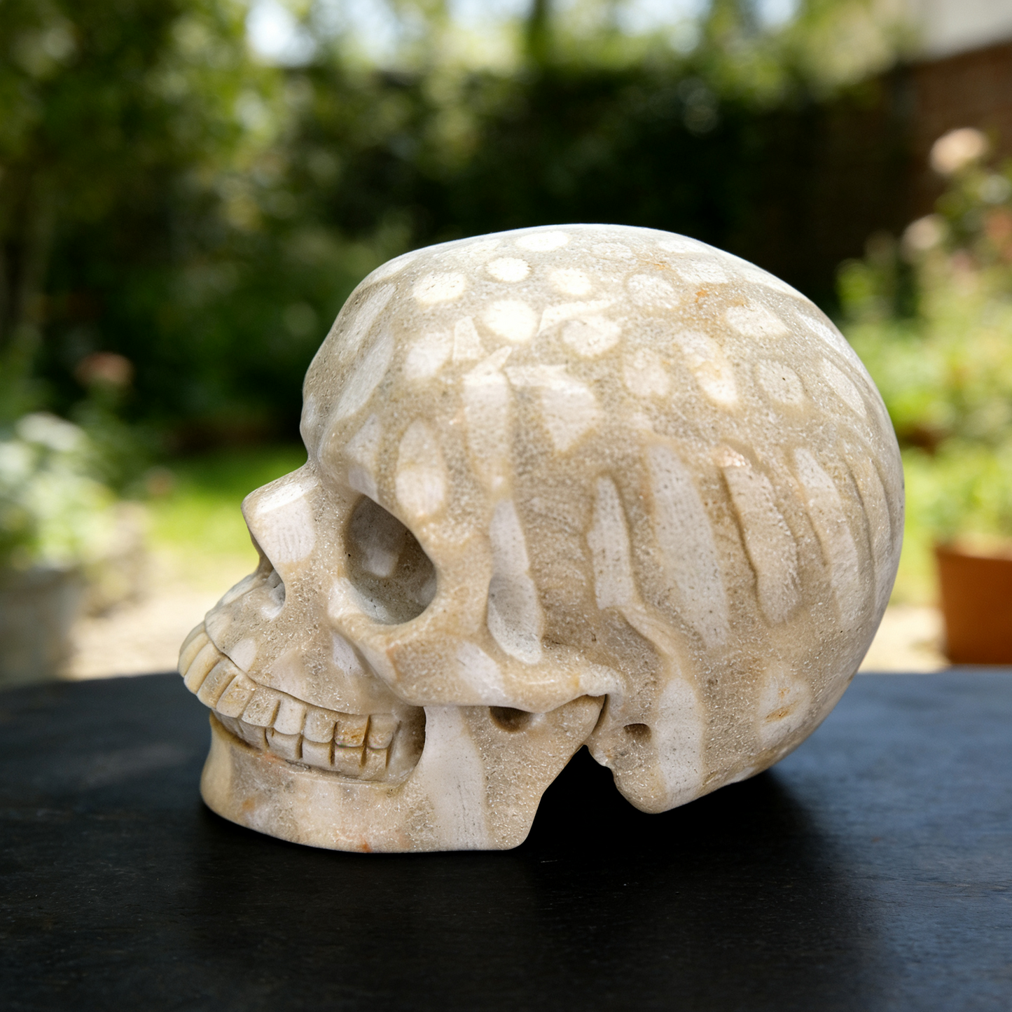 3 Inch Coral Fossil Crystal Skull – Hand Carved Natural Stone