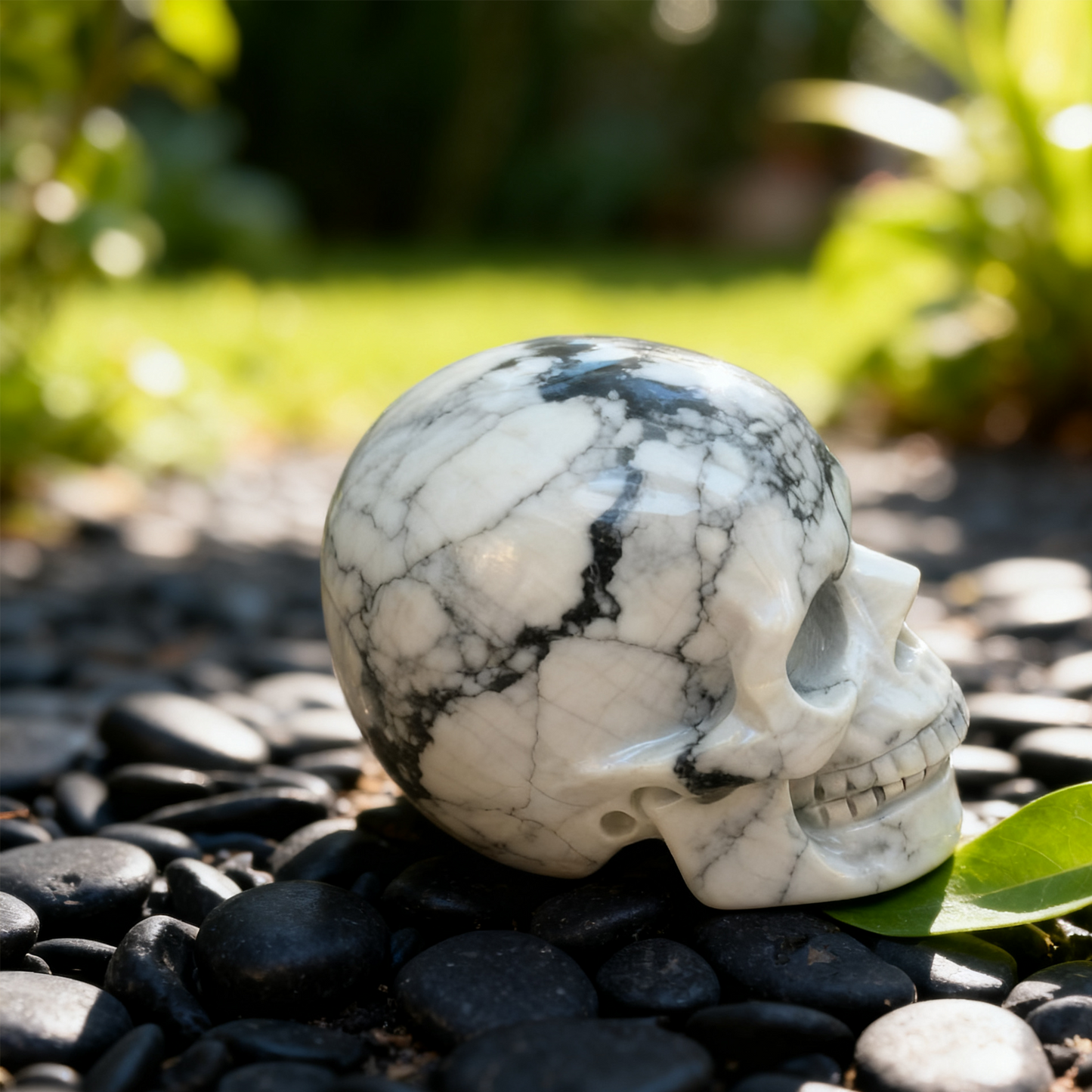 3 Inch White Howlite Turquoise Crystal Skull