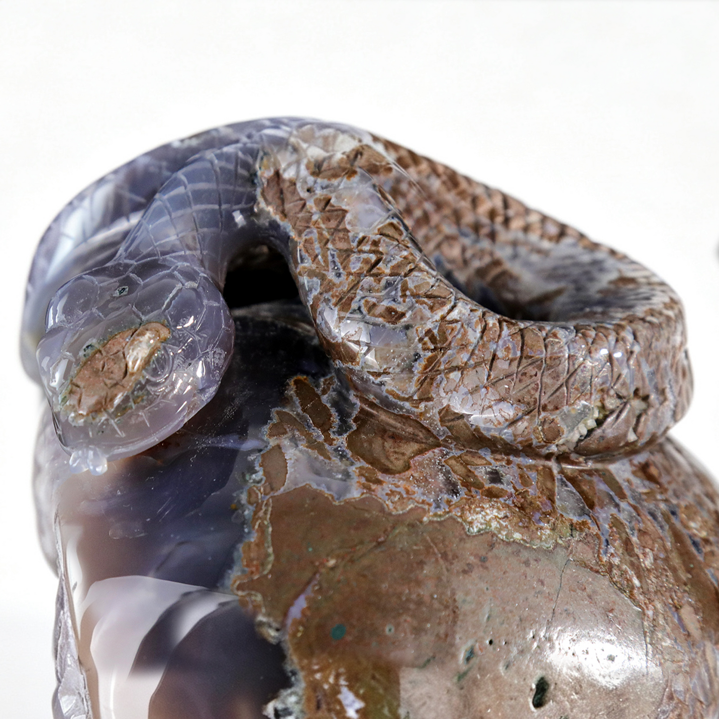 ‘Serpent’s Sanctuary’ - Amethyst Geode Skull with Serpent · Specimen No. 14