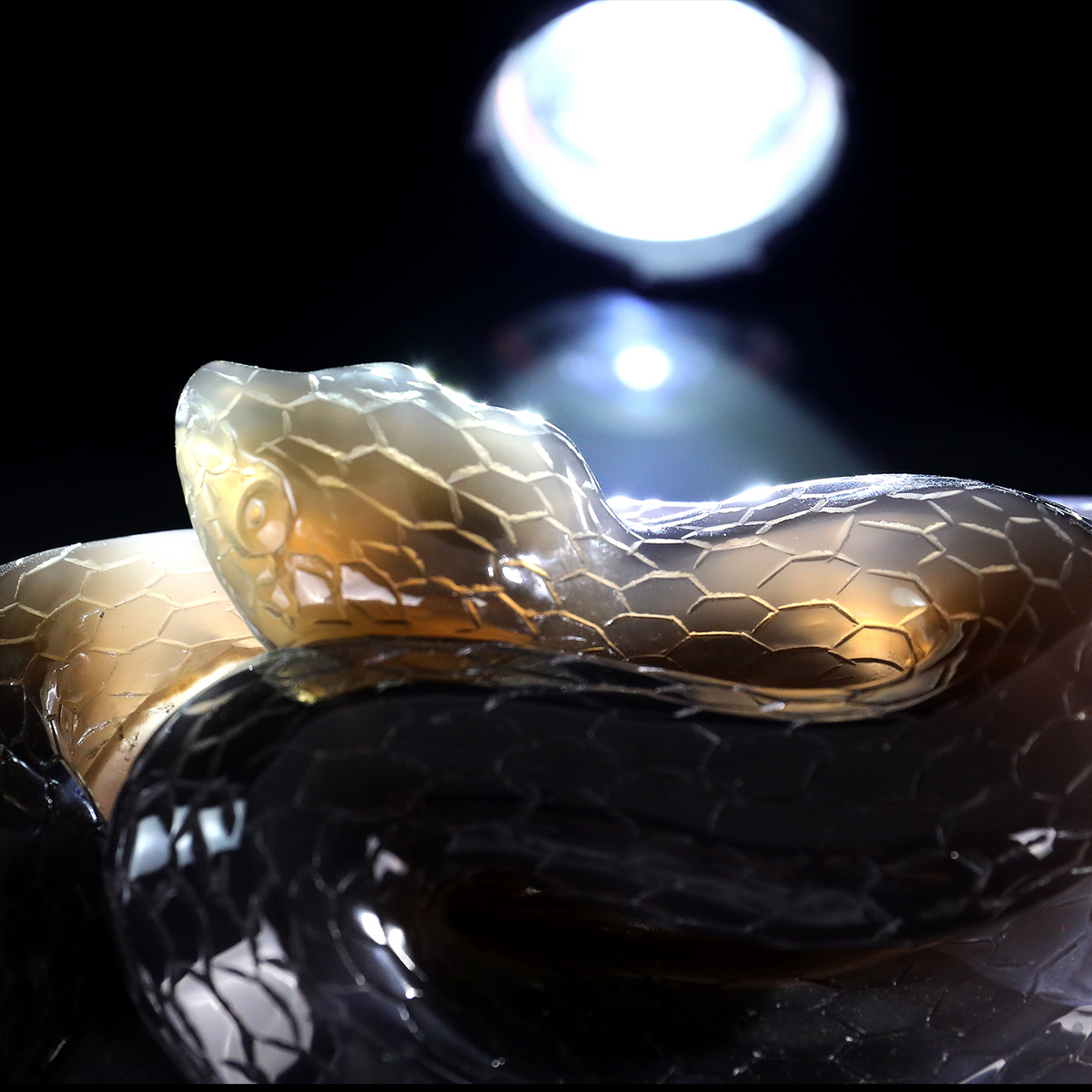 'The Silent Stare’ - Agate Serpent and Mouse on Quartz Geode · Specimen No. 21