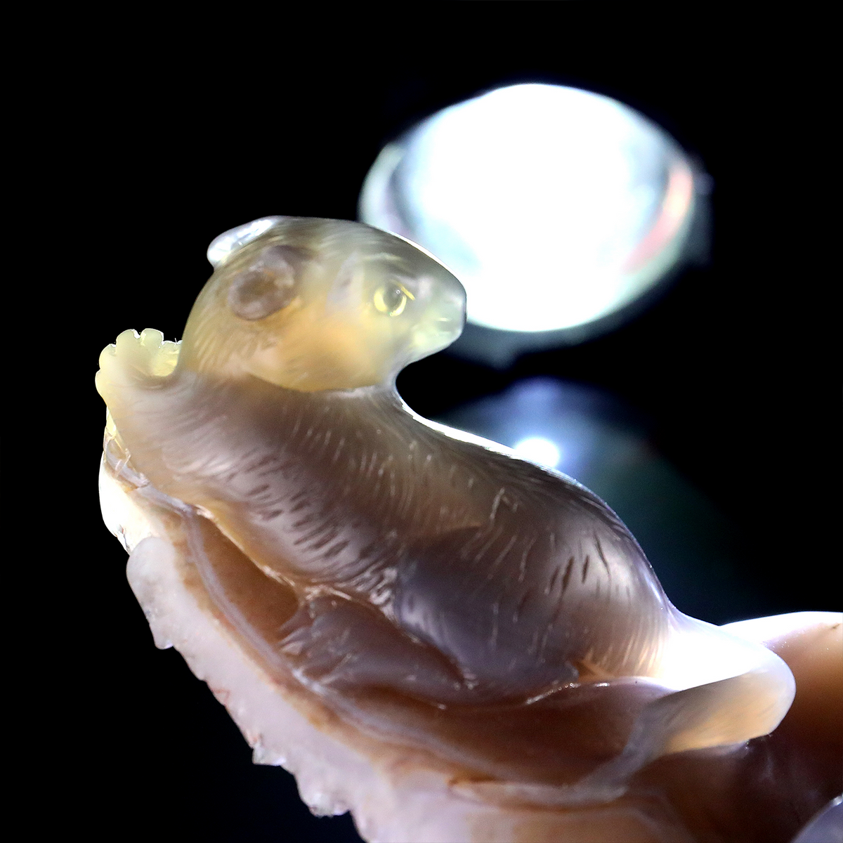 'The Silent Stare’ - Agate Serpent and Mouse on Quartz Geode · Specimen No. 21