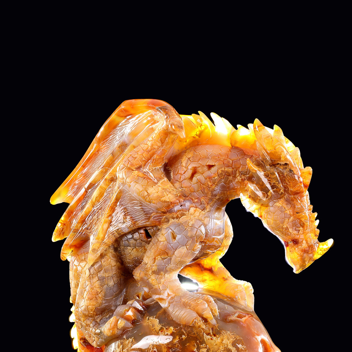 ‘The Red King’ - Hand-Carved Carnelian Chalcedony Dragon and Skull · Specimen No. 27