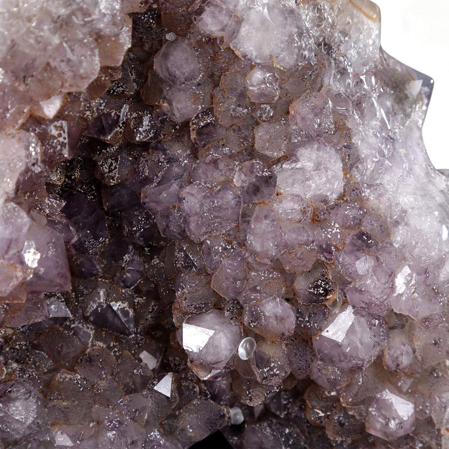 ‘Serpent’s Sanctuary’ - Amethyst Geode Skull with Serpent · Specimen No. 14