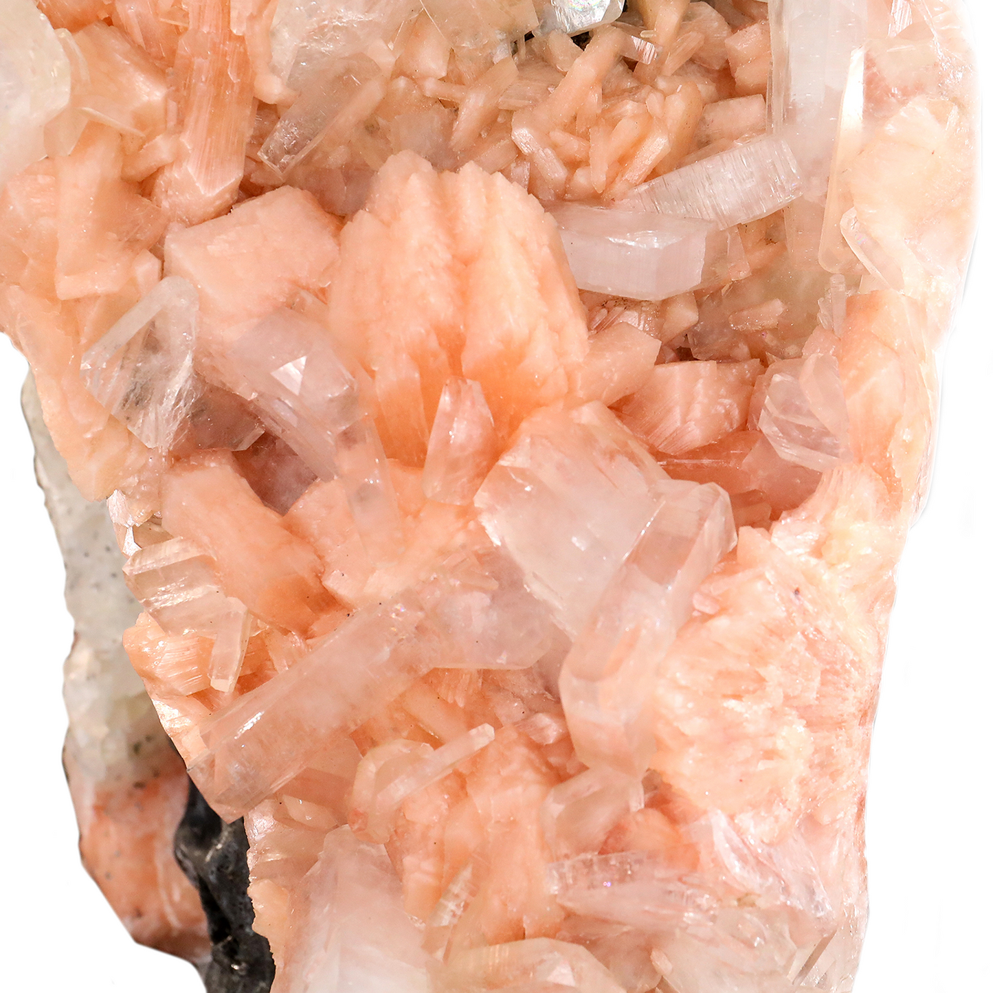 ‘The Janus Portal’ - Apophyllite & Stilbite Geode with Double-Sided Serpent and Skull · Specimen No. 05