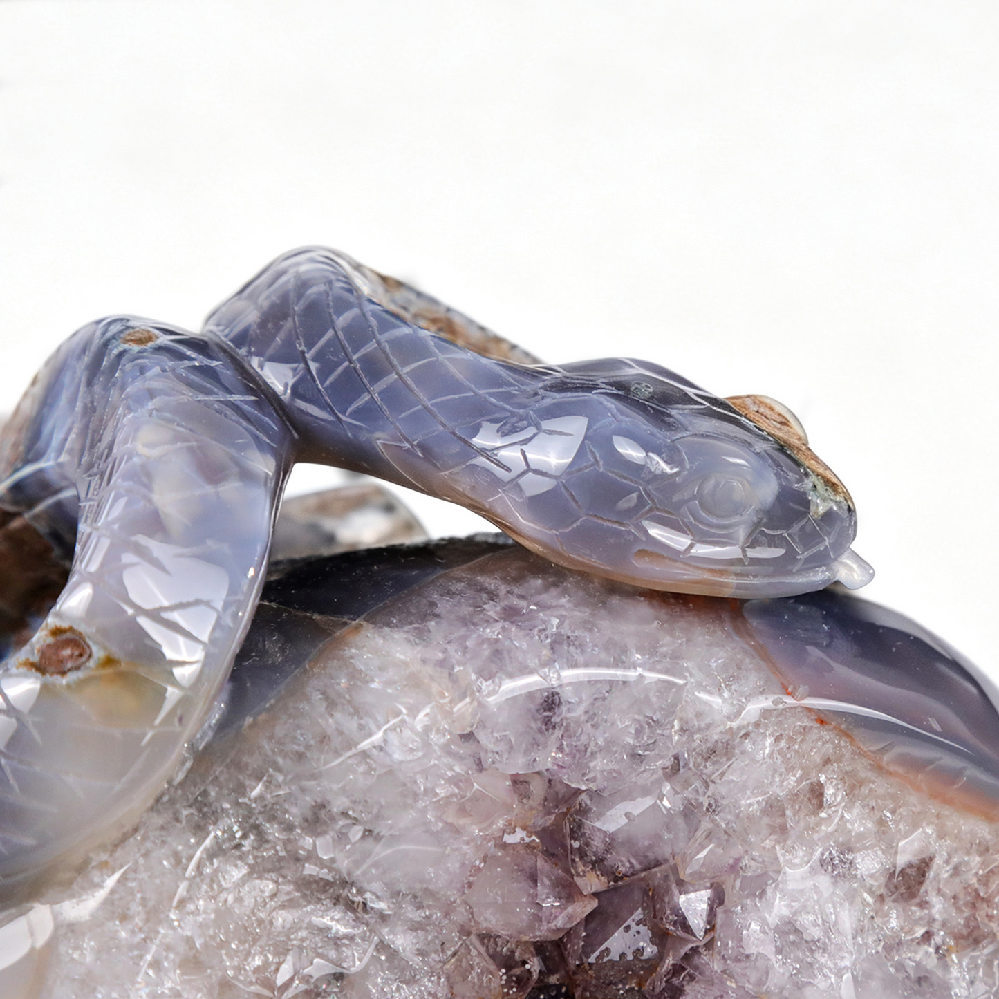 ‘Serpent’s Sanctuary’ - Amethyst Geode Skull with Serpent · Specimen No. 14