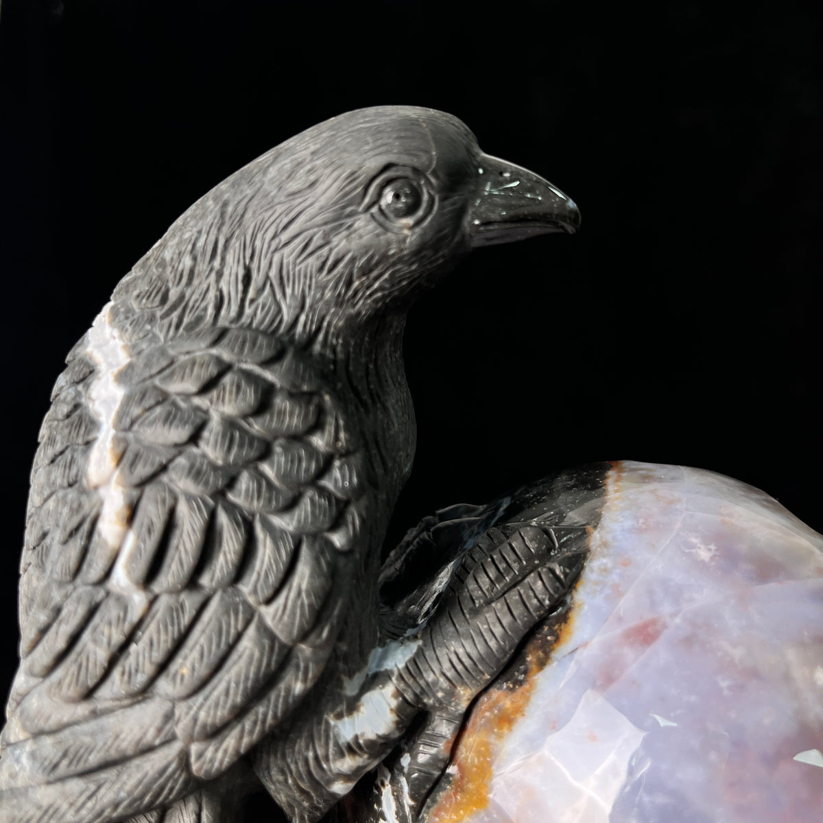 The Twofold Witness — Indian Agate Human Skull & Raven Sculpture · Specimen No. 61