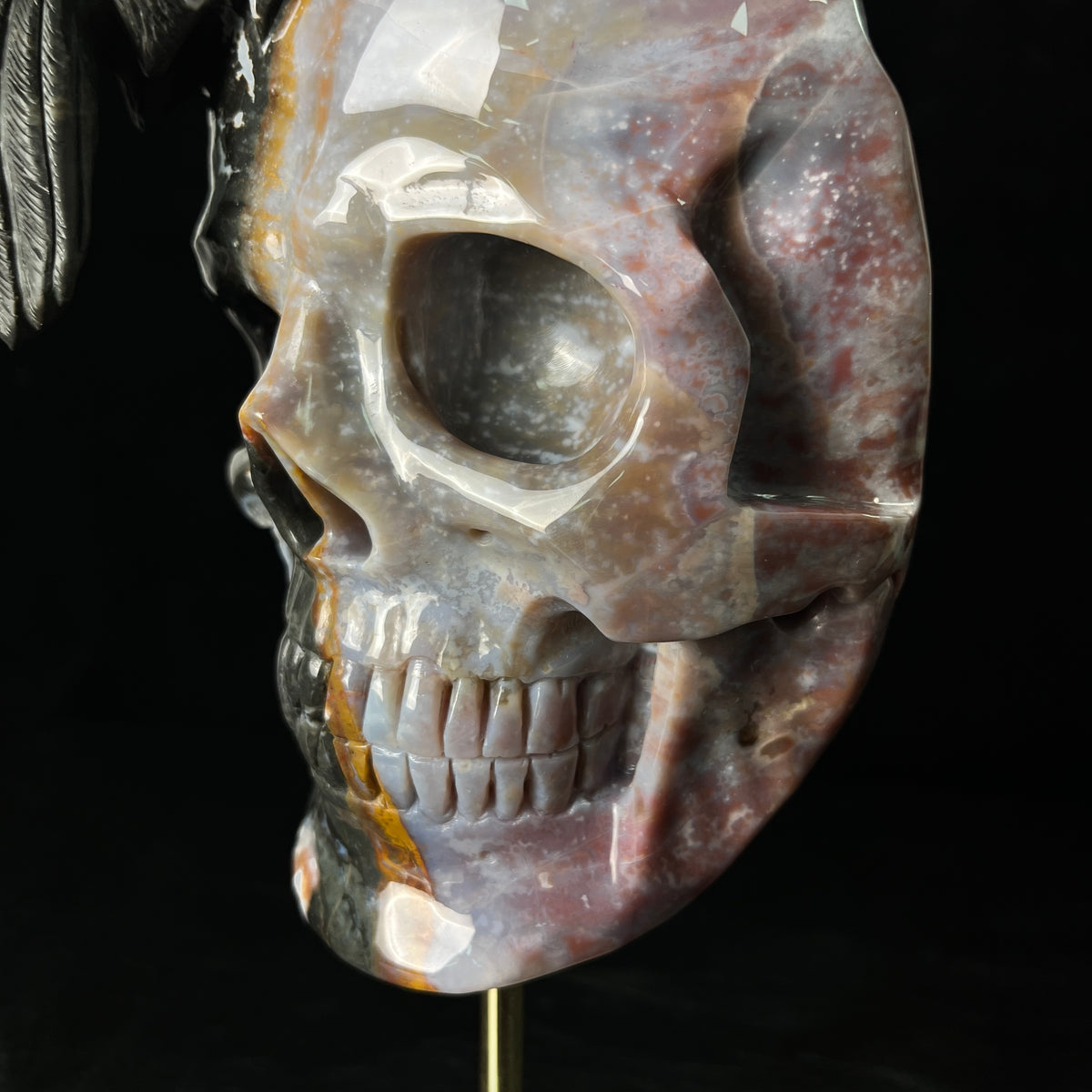 The Twofold Witness — Indian Agate Human Skull & Raven Sculpture · Specimen No. 61