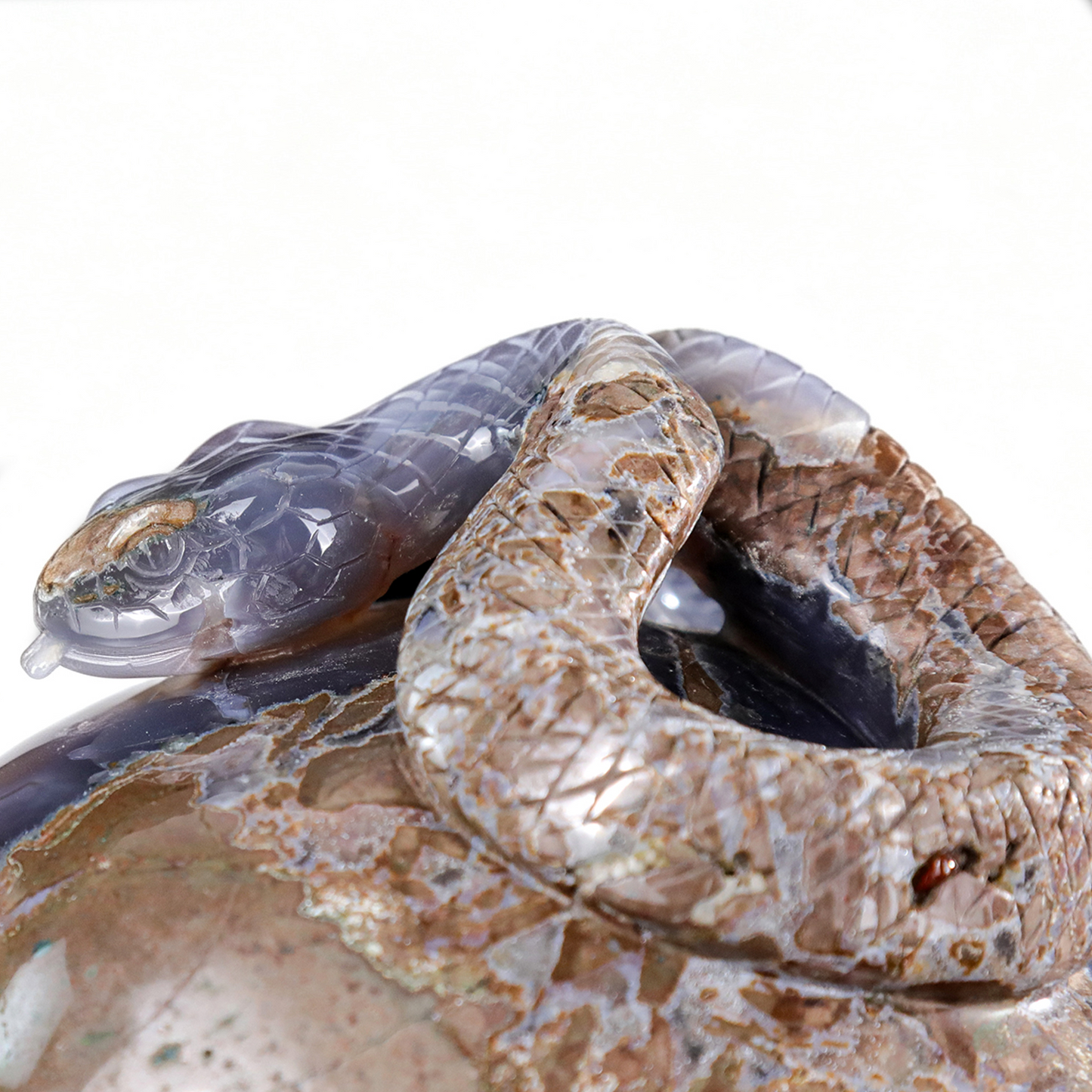 ‘Serpent’s Sanctuary’ - Amethyst Geode Skull with Serpent · Specimen No. 14