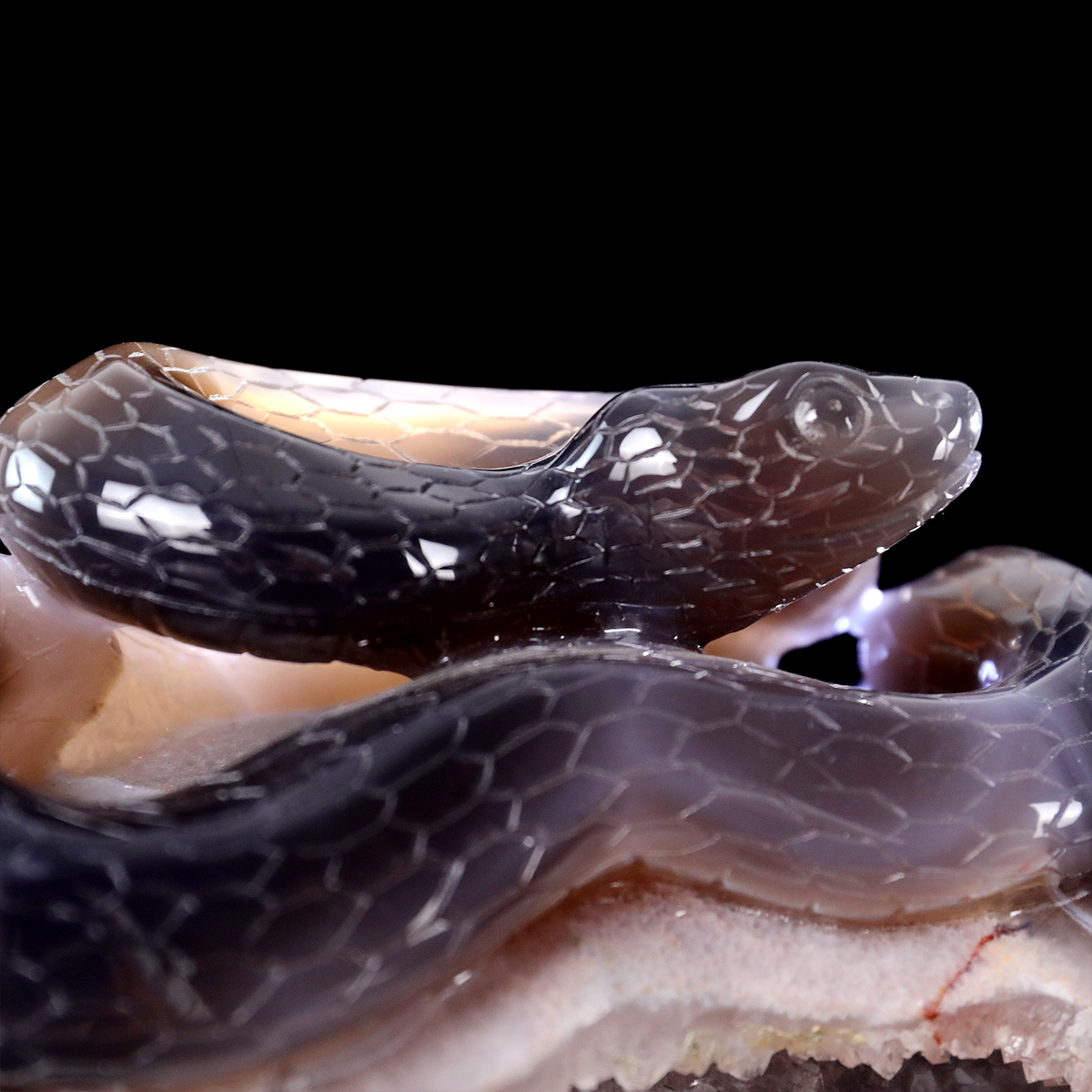 'The Silent Stare’ - Agate Serpent and Mouse on Quartz Geode · Specimen No. 21