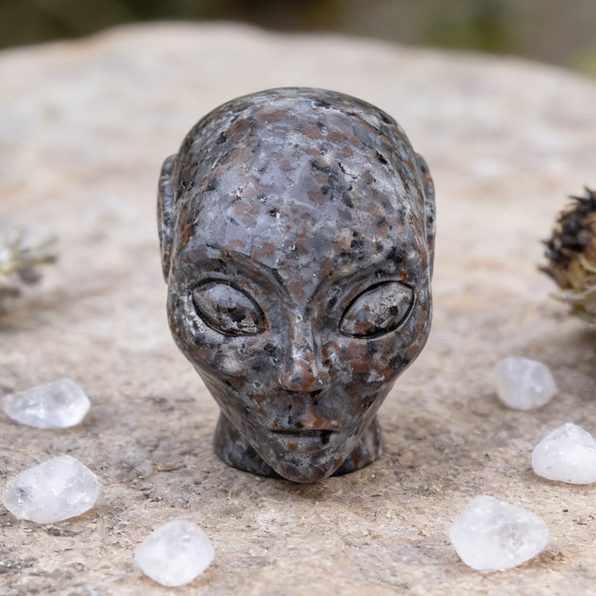 Additional view of a 2-inch Fire Stone alien skull carving