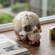 3" Red Crazy Lace Agate Crystal Skull - Pattern K