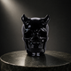 ‘The Black Aegis’ - Black Obsidian Horned Skull · Specimen No. 25