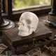 3" Ivory Jade Crystal Skull - Pattern C