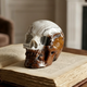3" Red Crazy Lace Agate Crystal Skull - Pattern F